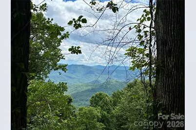 203 Laurel Lane, Little Switzerland, NC 28749 - Photo 48