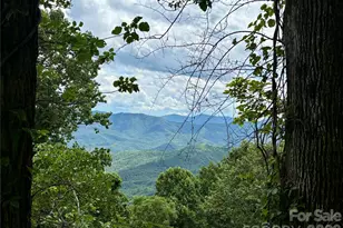 203 Laurel Ln, Little Switzerland, NC 28749 - Photo 48