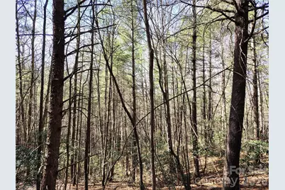 10 Acres Tahoe Trail, Collettsville, NC 28611 - Photo 10