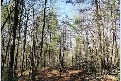 10 Acres Tahoe Trail, Collettsville, NC 28611 - Photo 8