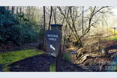 10 Acres Tahoe Trail, Collettsville, NC 28611 - Photo 4