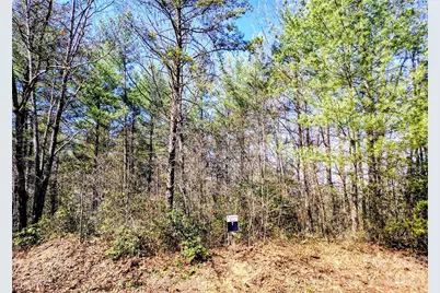 10 Acres Tahoe Trail, Collettsville, NC 28611 - Photo 6