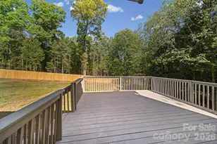 3919 Cherrybrook Dr, Mint Hill, NC 28227 - Photo 28