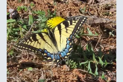 600 High Pines Loop, Lake Lure, NC 28746 - Photo 30