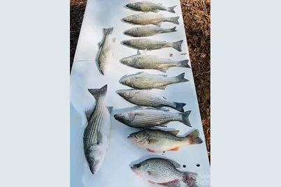 275 S Waters Edge Drive, Winnsboro, SC 29180 - Photo 26