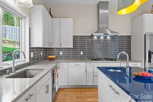 46 Pinecroft Rd, Asheville, NC 28804 - Photo 20