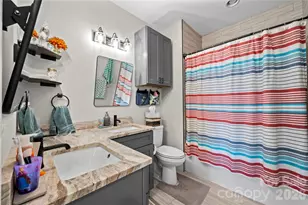 122 Wintercress Dr, Mills River, NC 28759 - Photo 32