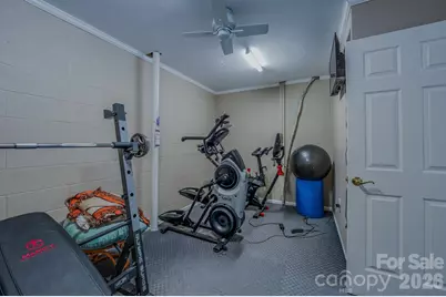 38 Sutton Knob Road, Candler, NC 28715 - Photo 36