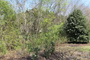 9150 Beaver Brook Way, Charlotte, NC 28277 - Photo 44