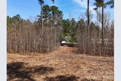 Tract 1&2 Snow Hill Road, Chesterfield, SC 29709 - Photo 6