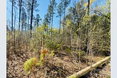 Tract 1&2 Snow Hill Road, Chesterfield, SC 29709 - Photo 20