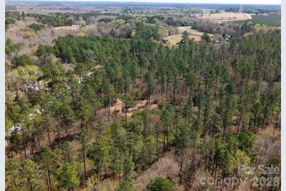 Tract 1&2 Snow Hill Road, Chesterfield, SC 29709 - Photo 10