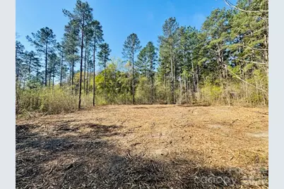 Tract 1&2 Snow Hill Road, Chesterfield, SC 29709 - Photo 16
