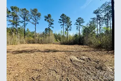 Tract 1&2 Snow Hill Road, Chesterfield, SC 29709 - Photo 18