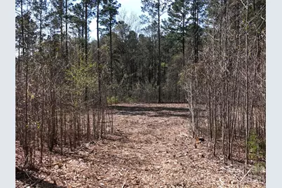 Tract 1&2 Snow Hill Road, Chesterfield, SC 29709 - Photo 4