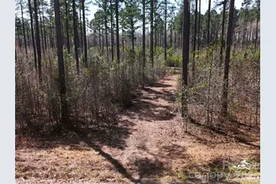 Tract 1&2 Snow Hill Road, Chesterfield, SC 29709 - Photo 8