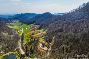 710 Kendal Dr, Leicester, NC 28748 - Photo 44