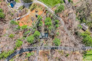 1 Alpine Way, Swannanoa, NC 28778 - Photo 46