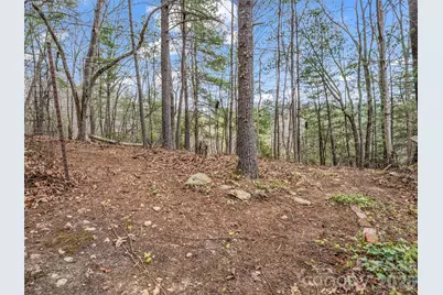 1 Alpine Way, Swannanoa, NC 28778 - Photo 10