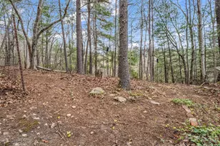 1 Alpine Way, Swannanoa, NC 28778 - Photo 10