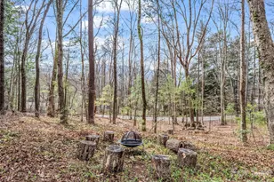 1 Alpine Way, Swannanoa, NC 28778 - Photo 44