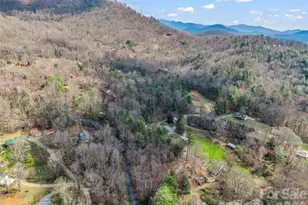 1 Alpine Way, Swannanoa, NC 28778 - Photo 8
