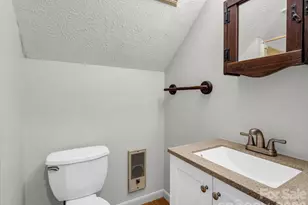 1 Alpine Way, Swannanoa, NC 28778 - Photo 30