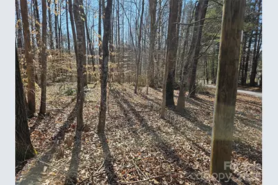 0 General Griffith Circle #37, Rutherfordton, NC 28139 - Photo 2