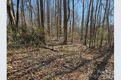 0 General Griffith Circle #37, Rutherfordton, NC 28139 - Photo 6