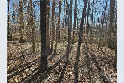 0 General Griffith Circle #37, Rutherfordton, NC 28139 - Photo 8