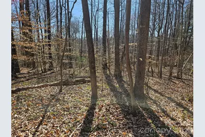 0 General Griffith Circle #37, Rutherfordton, NC 28139 - Photo 4