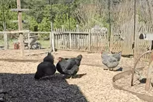 1307 Oakridge Farm Hwy, Mooresville, NC 28115 - Photo 40