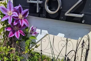 482 Booker St, Asheville, NC 28803 - Photo 34