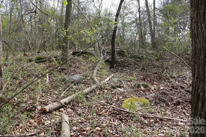 0 Vashti Road, Hiddenite, NC 28636 - Photo 36