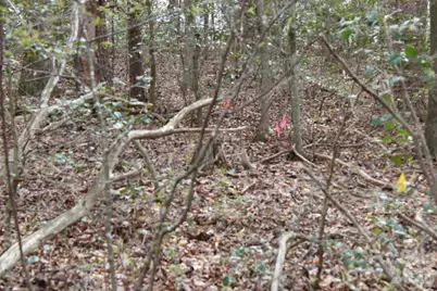 0 Vashti Road, Hiddenite, NC 28636 - Photo 32