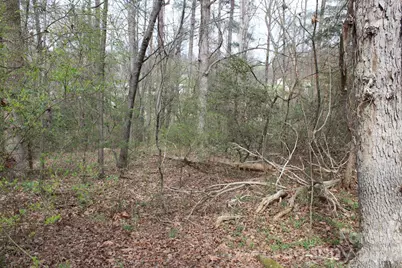 0 Vashti Road, Hiddenite, NC 28636 - Photo 38