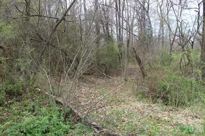 0 Vashti Road, Hiddenite, NC 28636 - Photo 22