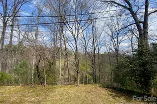 23 Old Farm School Rd, Asheville, NC 28805 - Photo 10