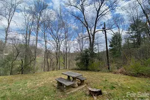 23 Old Farm School Rd, Asheville, NC 28805 - Photo 12