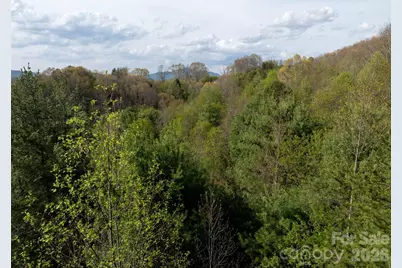 Lot 38 Sunnybrook Trail, Clyde, NC 28721 - Photo 10