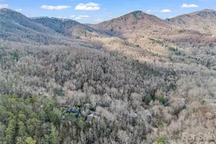 417 Ivy Rd, Black Mountain, NC 28711 - Photo 10