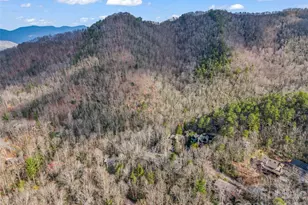 417 Ivy Rd, Black Mountain, NC 28711 - Photo 8