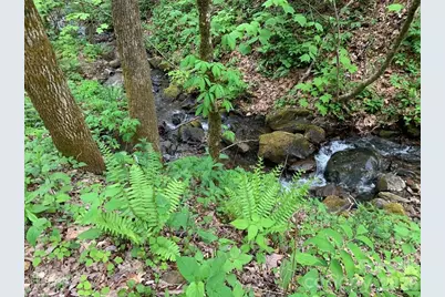 1022 Coweeta Gap Road, Otto, NC 28763 - Photo 22