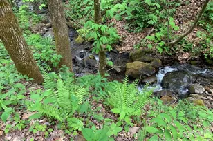 1022 Coweeta Gap Rd, Otto, NC 28763 - Photo 22