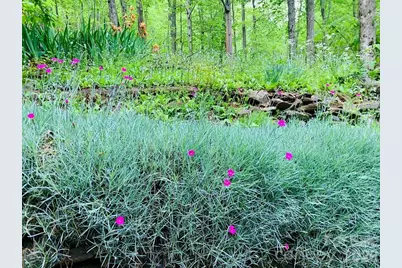 1022 Coweeta Gap Road, Otto, NC 28763 - Photo 16