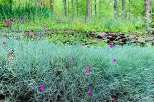 1022 Coweeta Gap Rd, Otto, NC 28763 - Photo 16