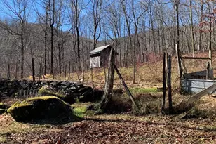 1022 Coweeta Gap Rd, Otto, NC 28763 - Photo 28