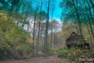 1022 Coweeta Gap Rd, Otto, NC 28763 - Photo 32