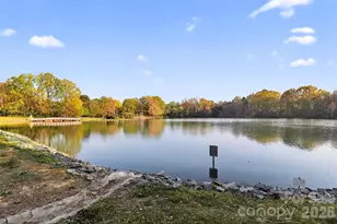 5862 Harris Grove Ln, Charlotte, NC 28212 - Photo 38