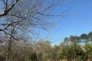 4675 Hickory Nut Ridge Rd, Granite Falls, NC 28630 - Photo 2